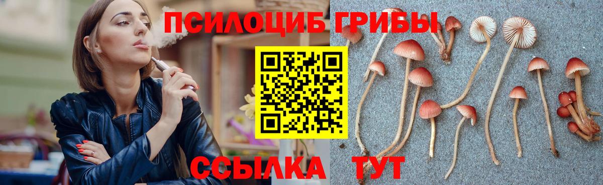 Меф МЯУ МЯУ кристаллы  COCAIN  Гашиш  Зерноград  Гашиш  АМФ кристаллы  Вход с VPN  Конопля  Альфа ПВП СК кристаллы 