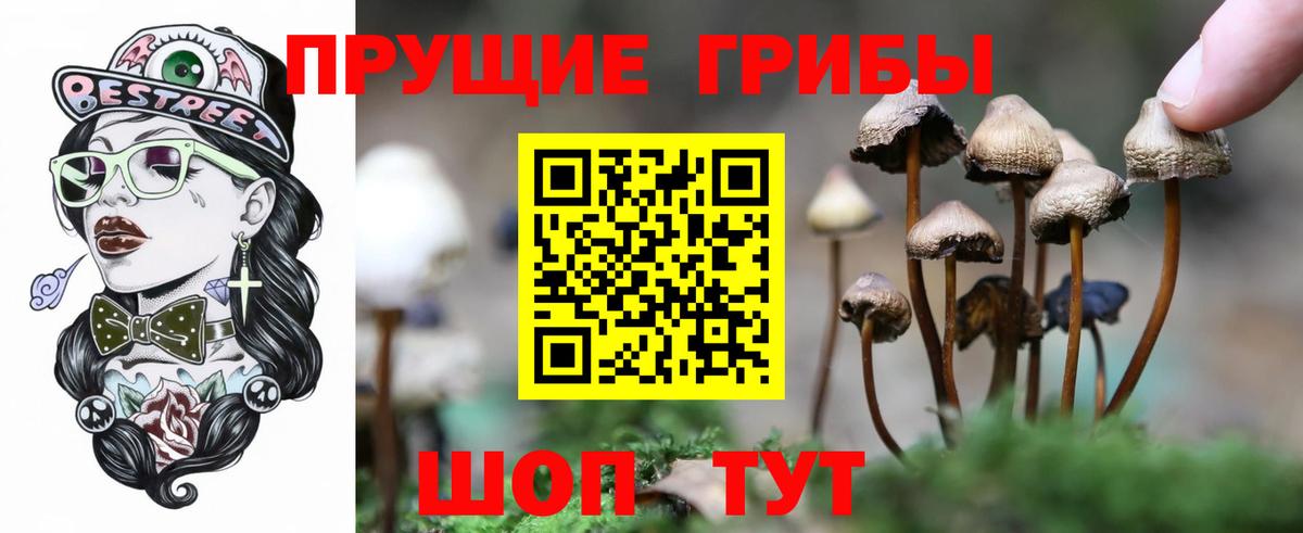 Псилоцибиновые грибы Magic Shrooms  Галлюциногенные грибы прущие грибы  Вход с VPN  Зерноград 