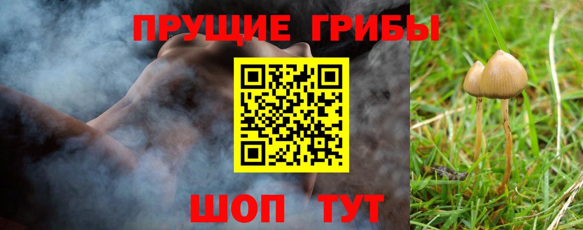 Галлюциногенные грибы мицелий Зерноград